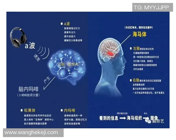 杨军专访：探寻足球成功背后的秘密与经验分享