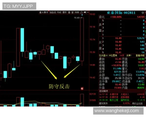 深入分析北京网球队的防守策略与战术执行细节