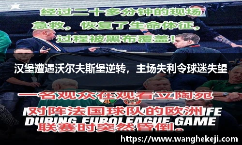 汉堡遭遇沃尔夫斯堡逆转，主场失利令球迷失望